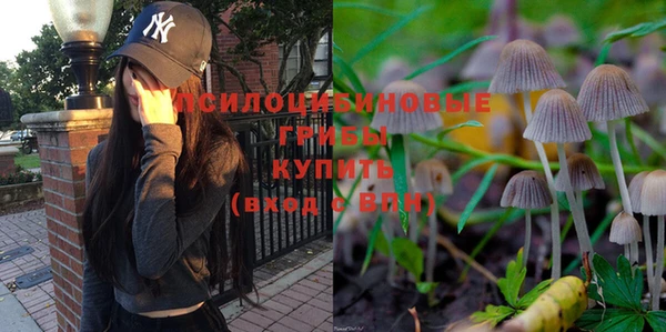 каннабис Белокуриха