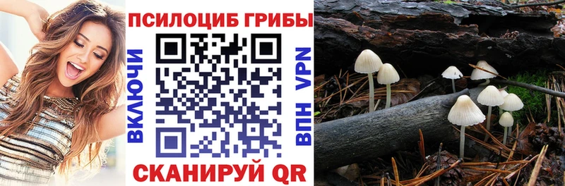 купить закладку  Невель  площадка как зайти  Галлюциногенные грибы GOLDEN TEACHER  KRAKEN вход 